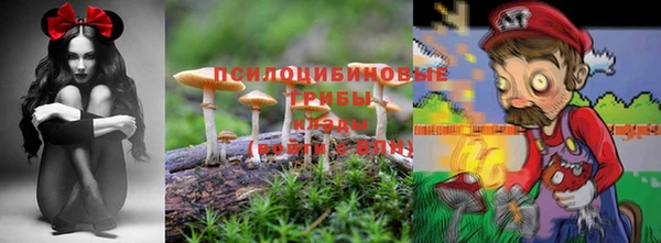 хмурый Белоозёрский