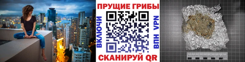 кракен рабочий сайт  Сегежа  Псилоцибиновые грибы Magic Shrooms  купить наркоту 